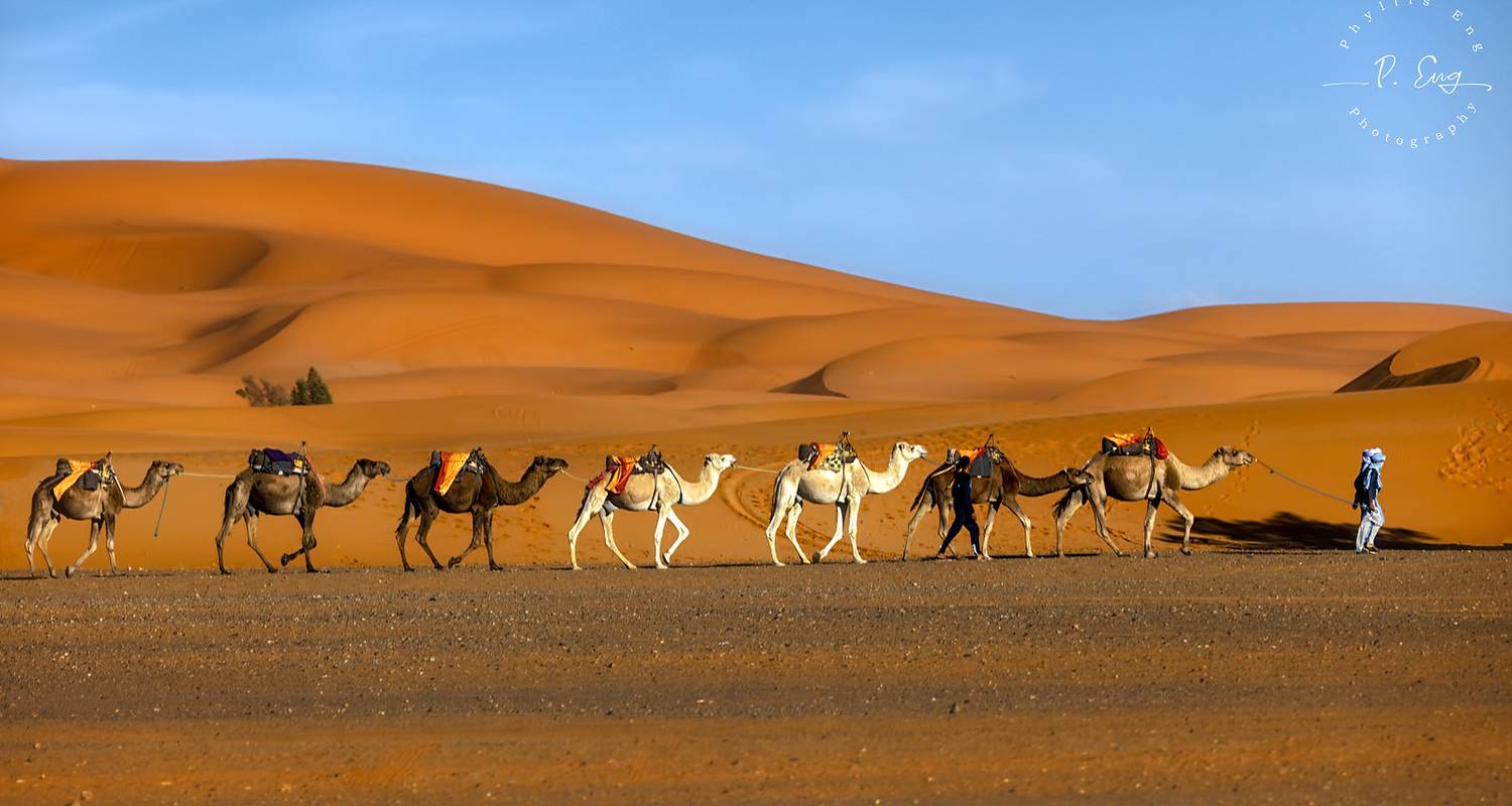 5 Days Desert Tour from Tangier to Marrakech