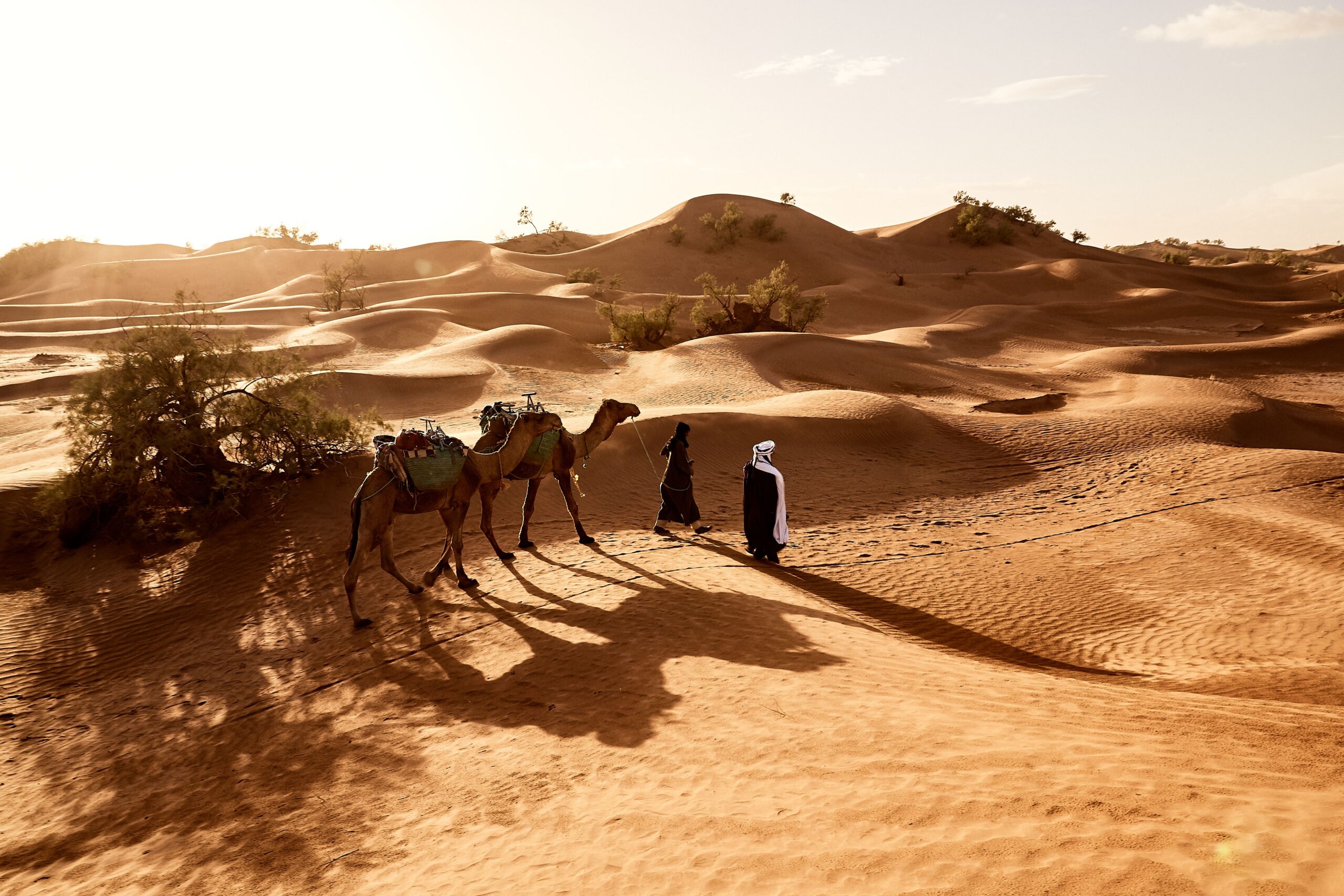 Personalized Morocco Tours desert camel experience